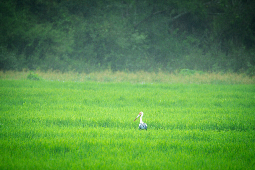 visitar estos destinos