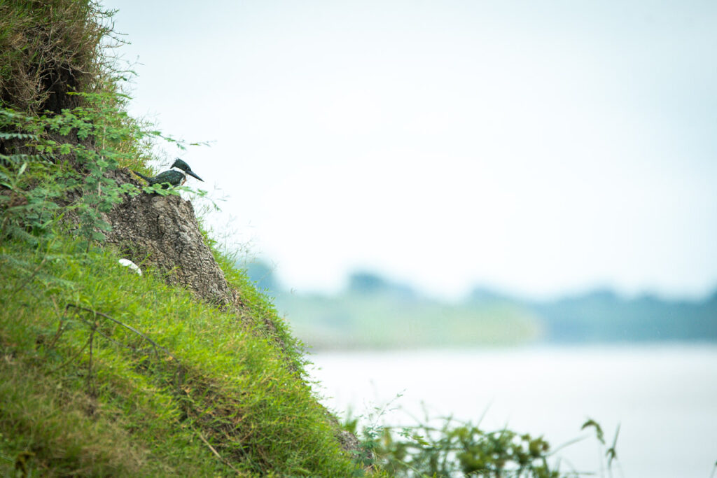 Km 120 - Villa Oliva