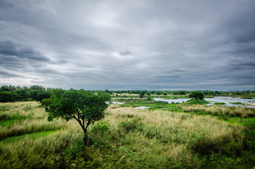 experimentarás la alegría