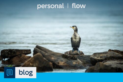 portada imagen personal