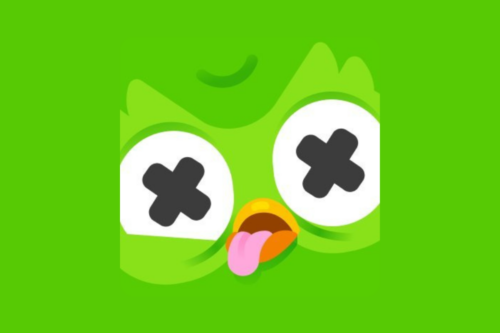 Duelo en Duolingo