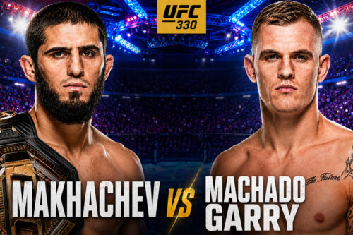 Luchadores del UFC 330